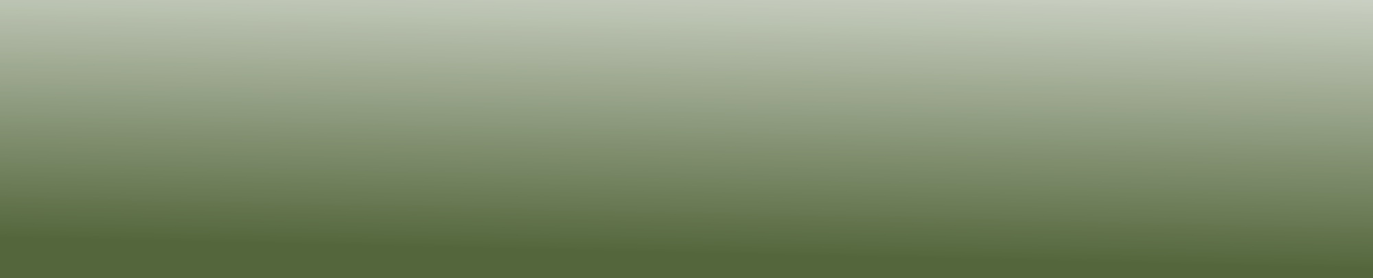 Slider Background